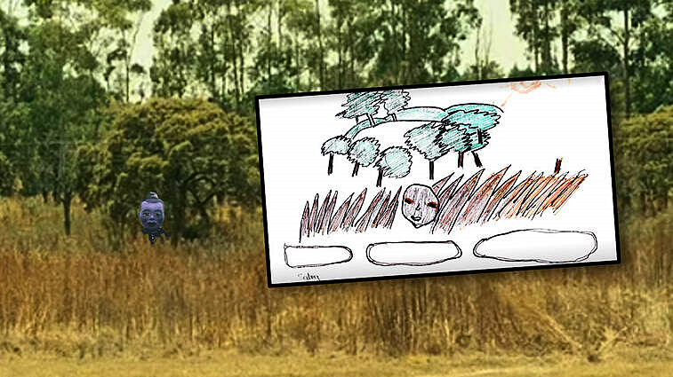 LE CAS  OVNI DE L’ÉCOLE ARIEL A RUWA