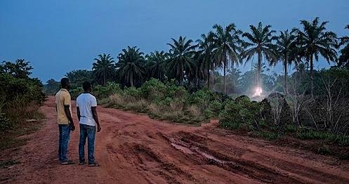LUEUR OVNI DANS UNE CLAIRIERE