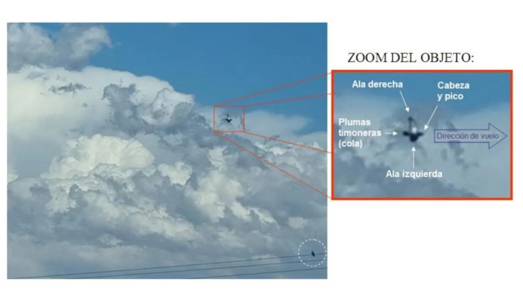 mendoza en argentine OVNI
